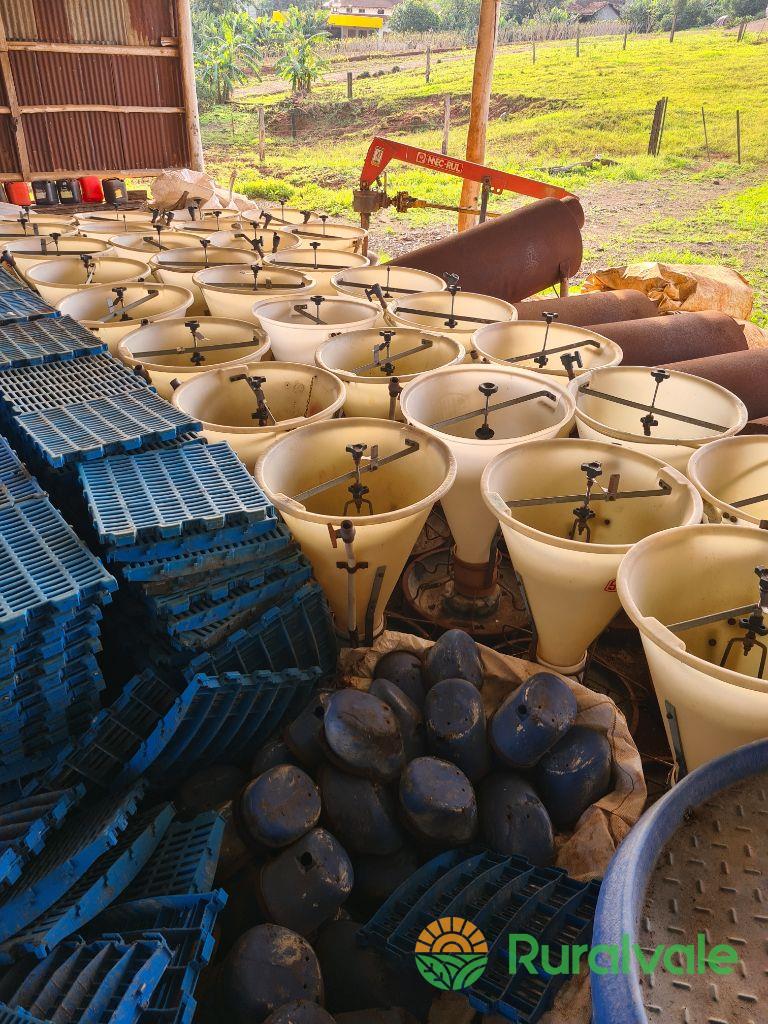 Pisos plásticos para suínos